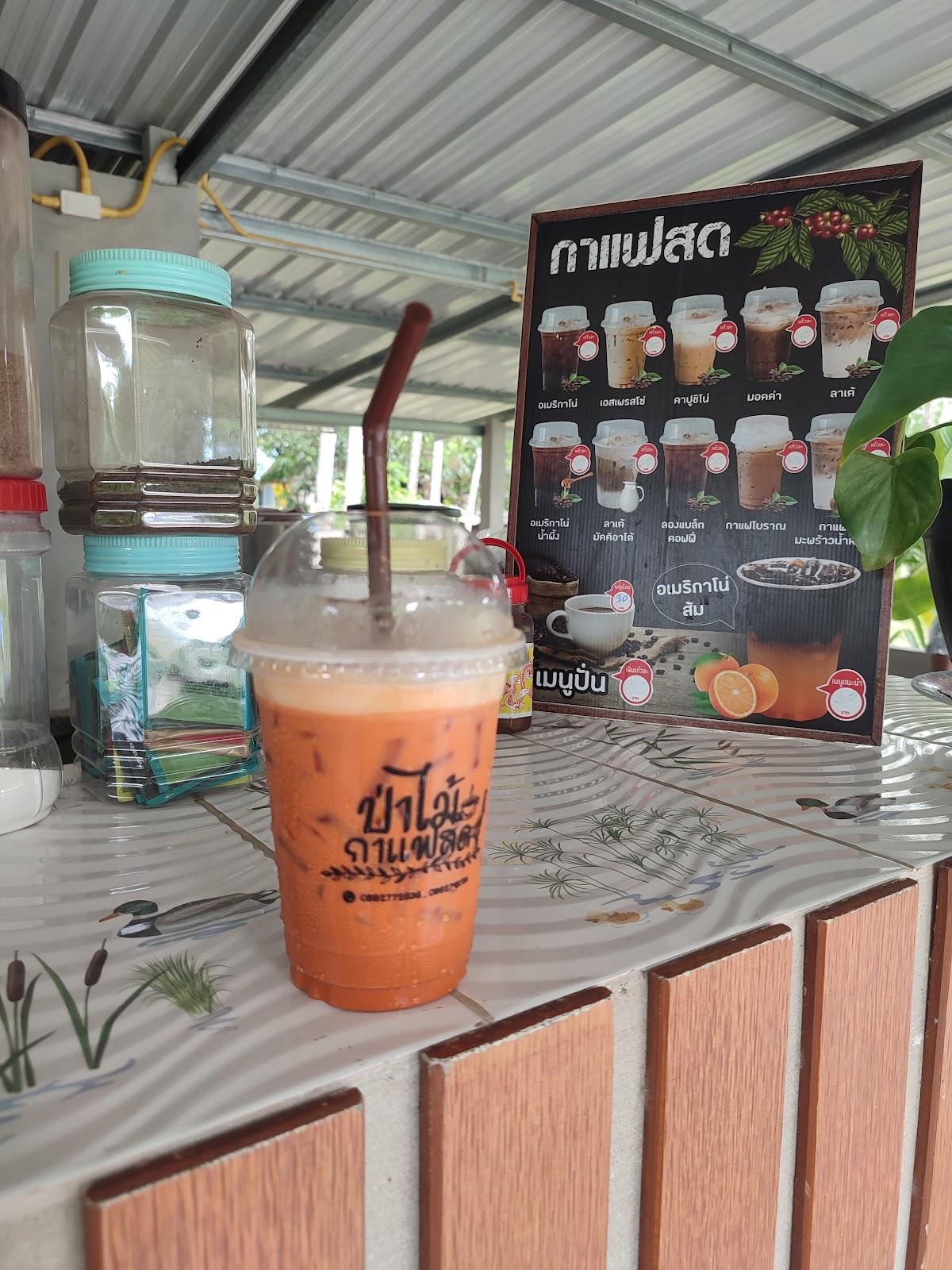 ป่าไม้กาแฟสด