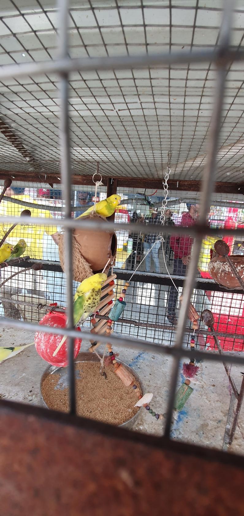 Baskin Robbins @Hotel Highway Xpress Behror