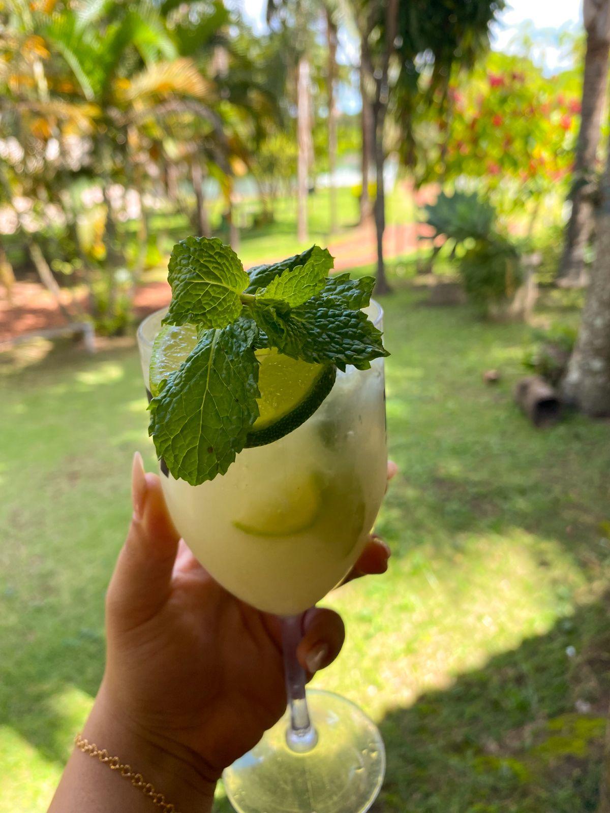 Fazendinha Dom Bosco Vicente Pires