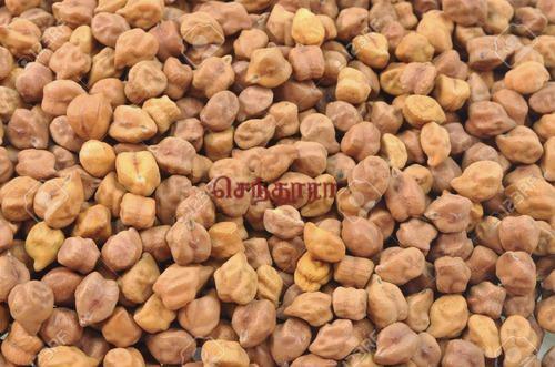 Virudhunagar Palasarakku Kadai