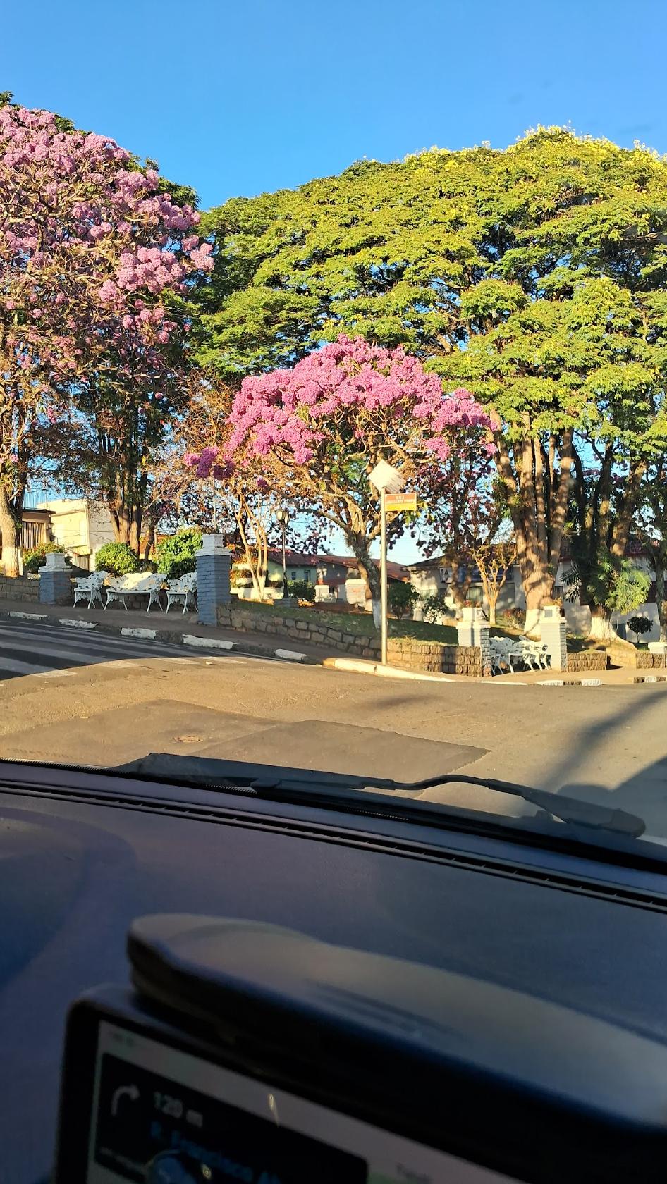 Panificadora Tuiuti Pães & Doces