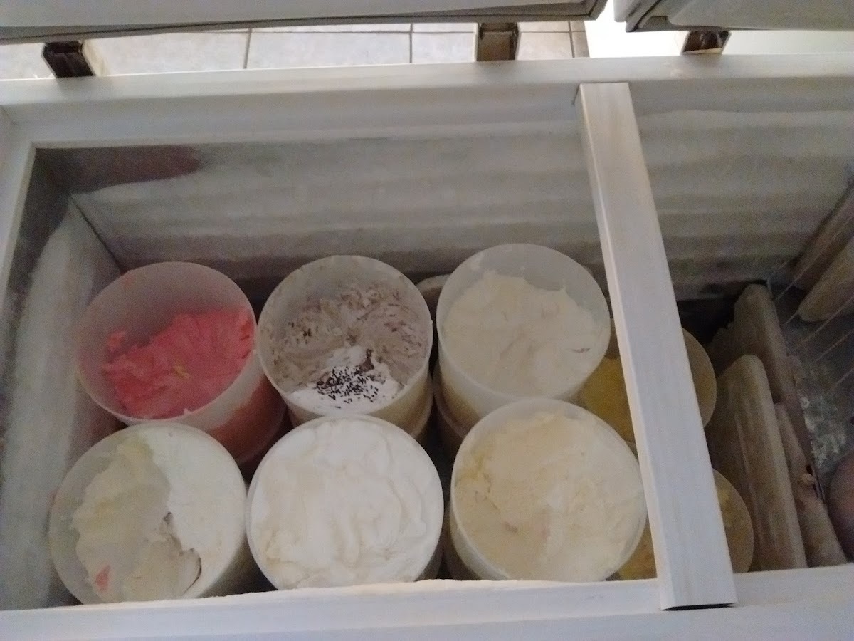 Sorveteria Artesanal