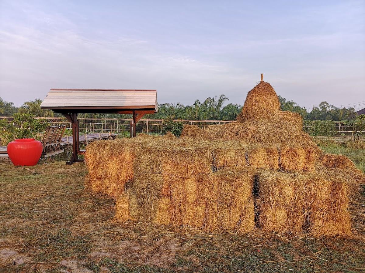 บ้านสวนการะเกด