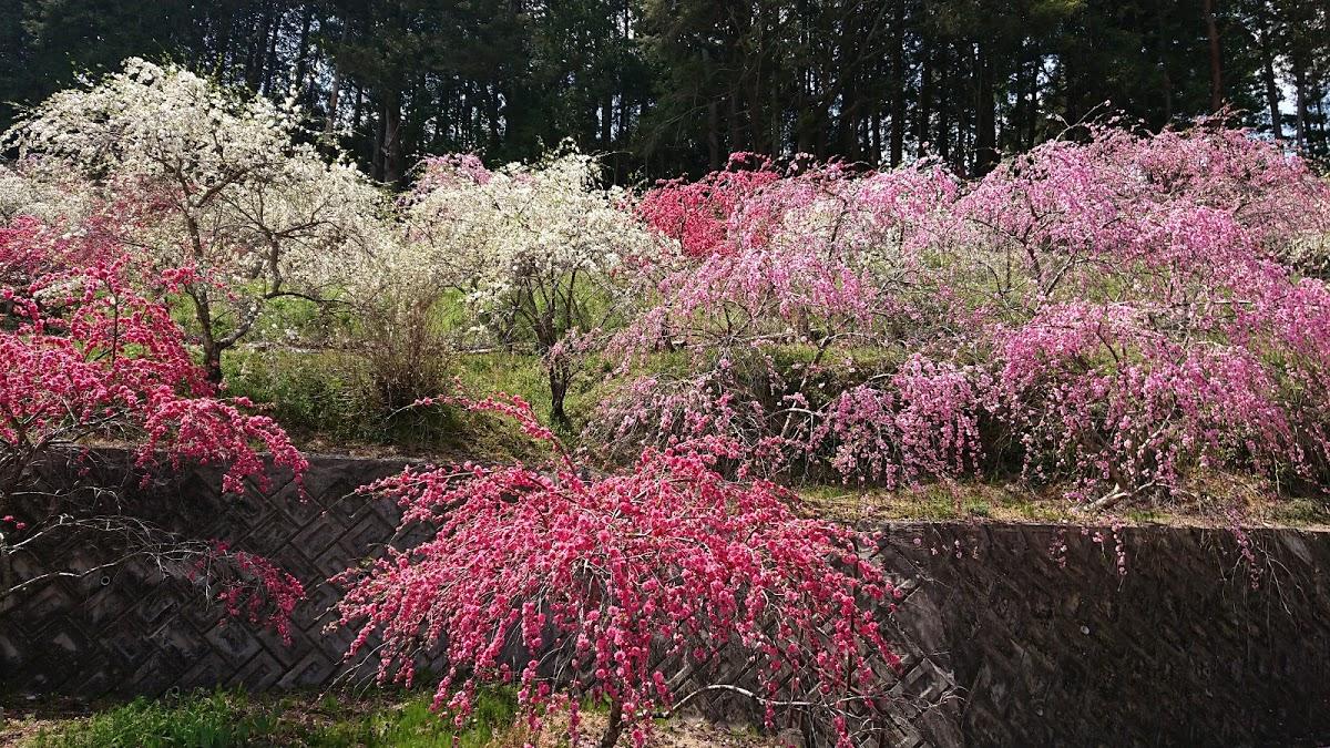えがお