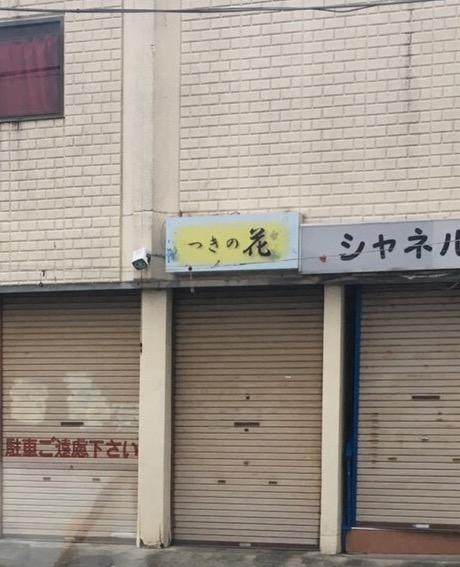 つきの花