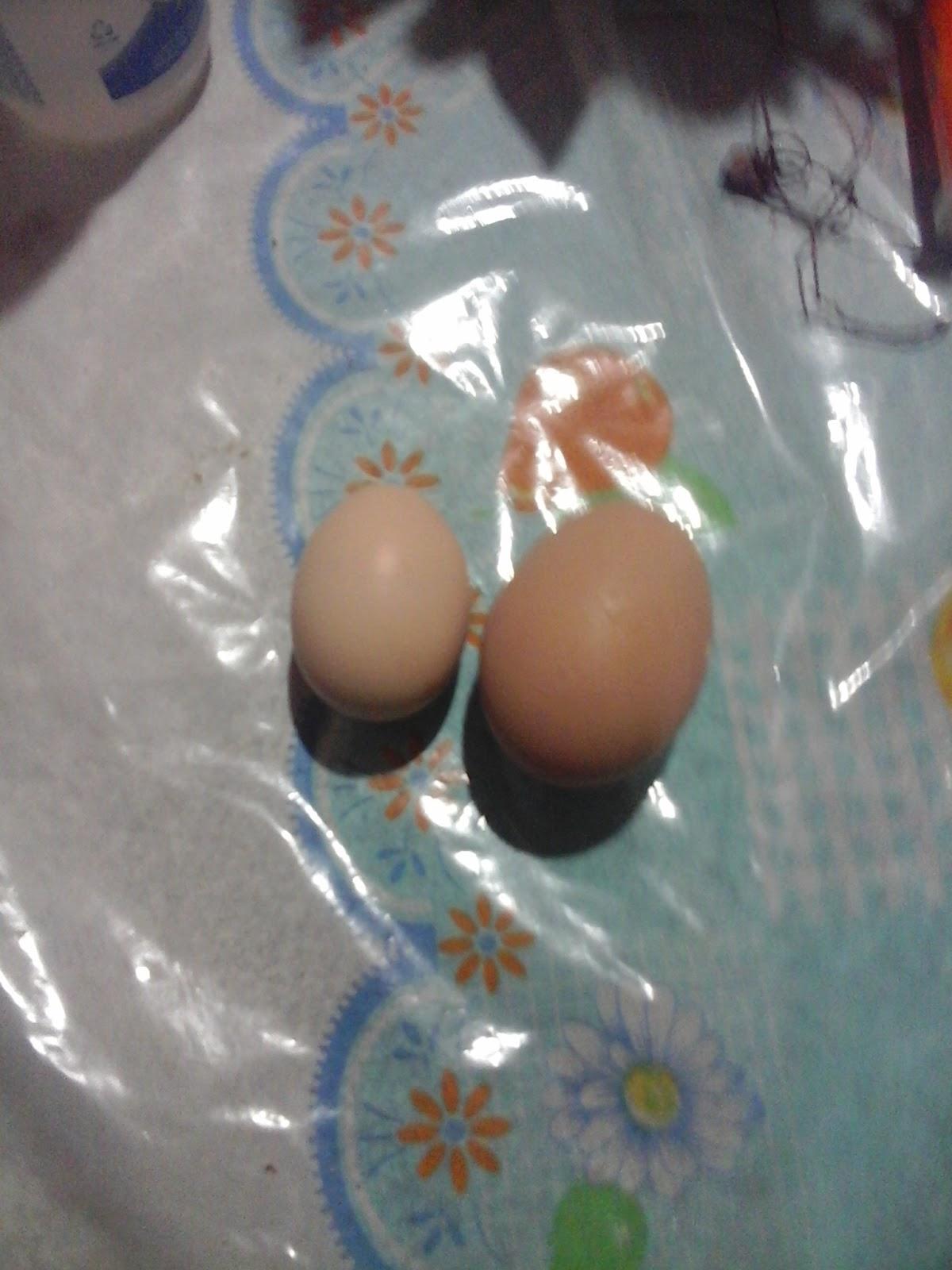 Lanchonete E Pizzaria Brito