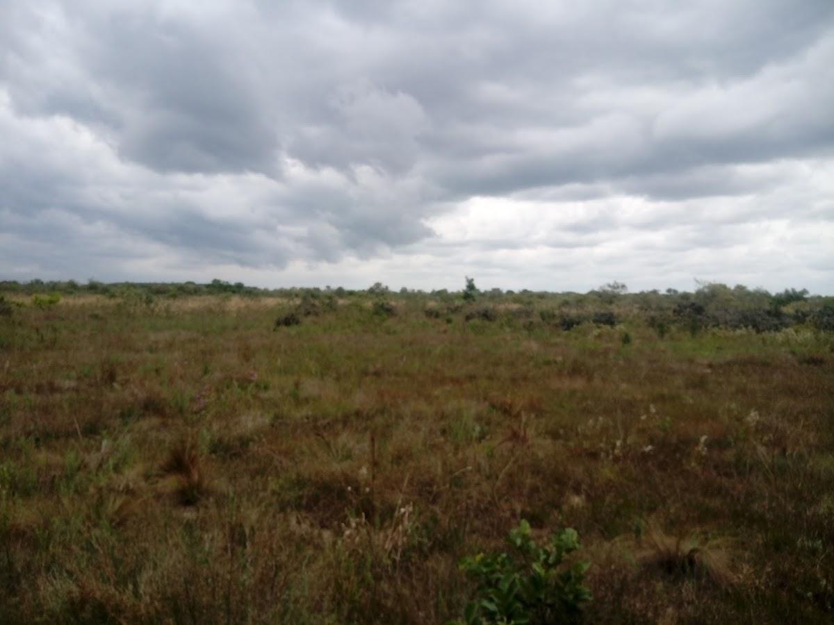 Restaurante Cozinha Caipira