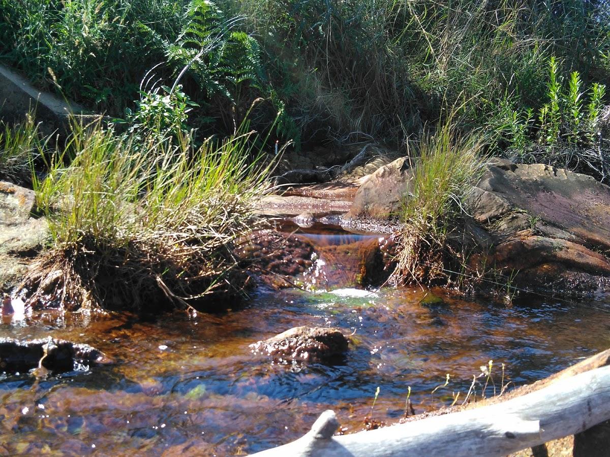 Restaurante Baiano e Gaúcho.