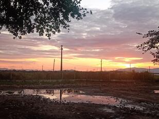 Lanchonete Bandeira Branca