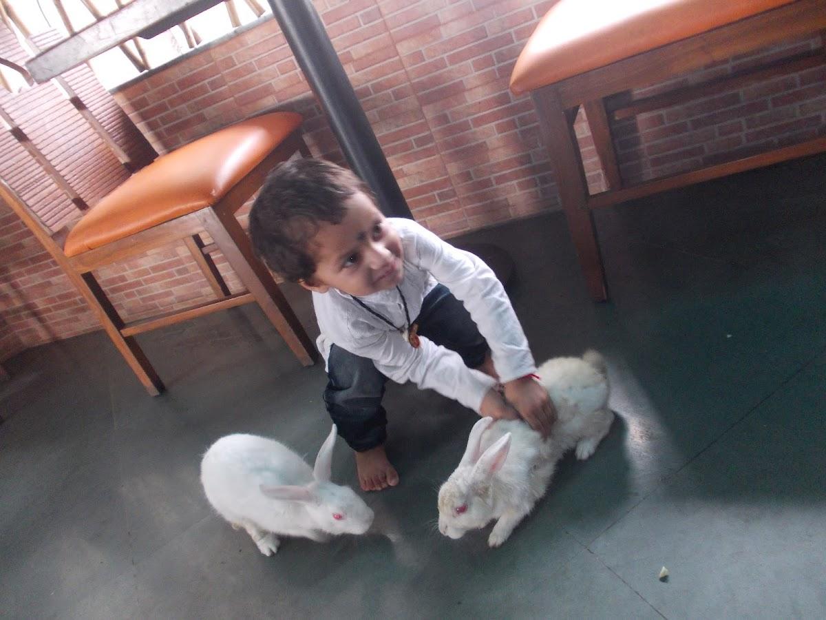 The Experience Roof Top Family Restaurant And Bar