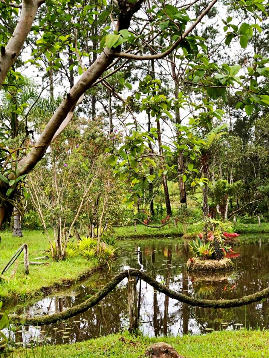 Rancho da Cachoeira Restaurante e Pousada