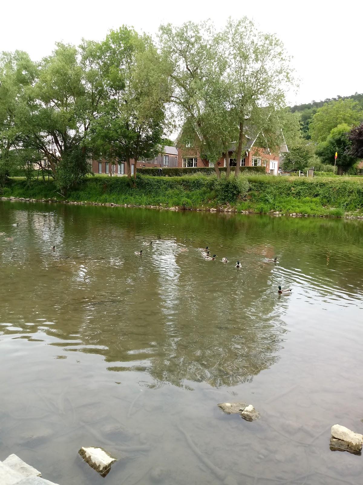 Taverne Rive Gauche chez Anne et Benoît