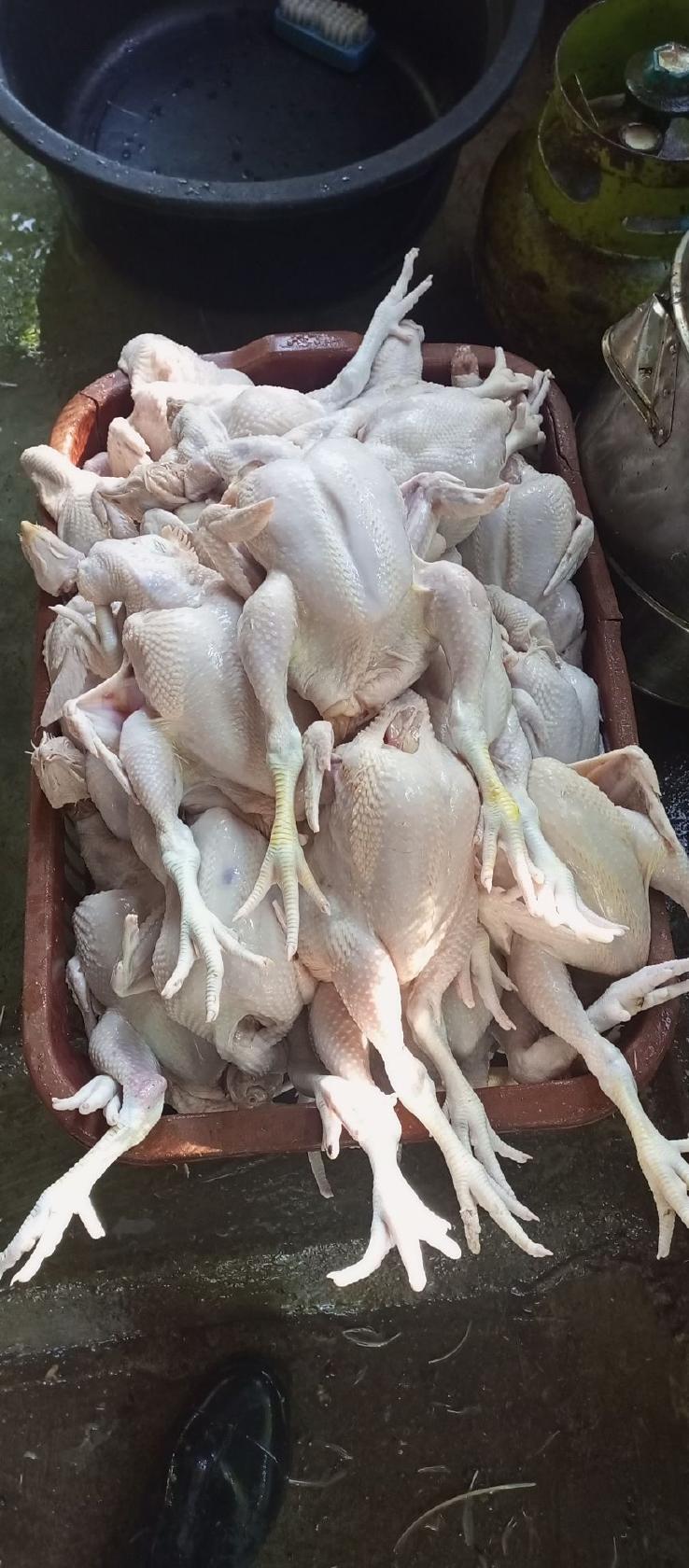 Cilok Janda Kembang, Lengkong, Kabupaten Lombok Tengah, Nusa Tenggara Barat