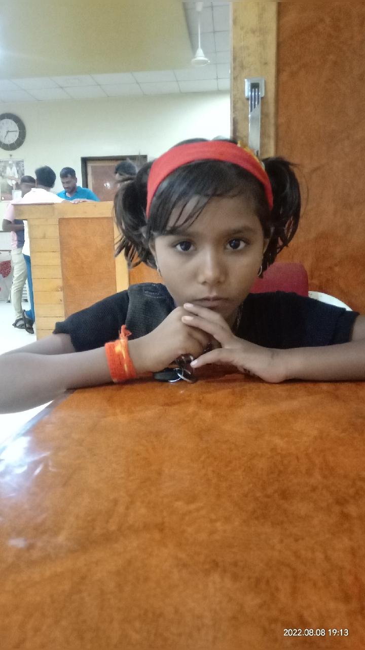 साई दरबार हॉटेल