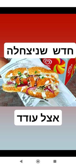 אצל עודד