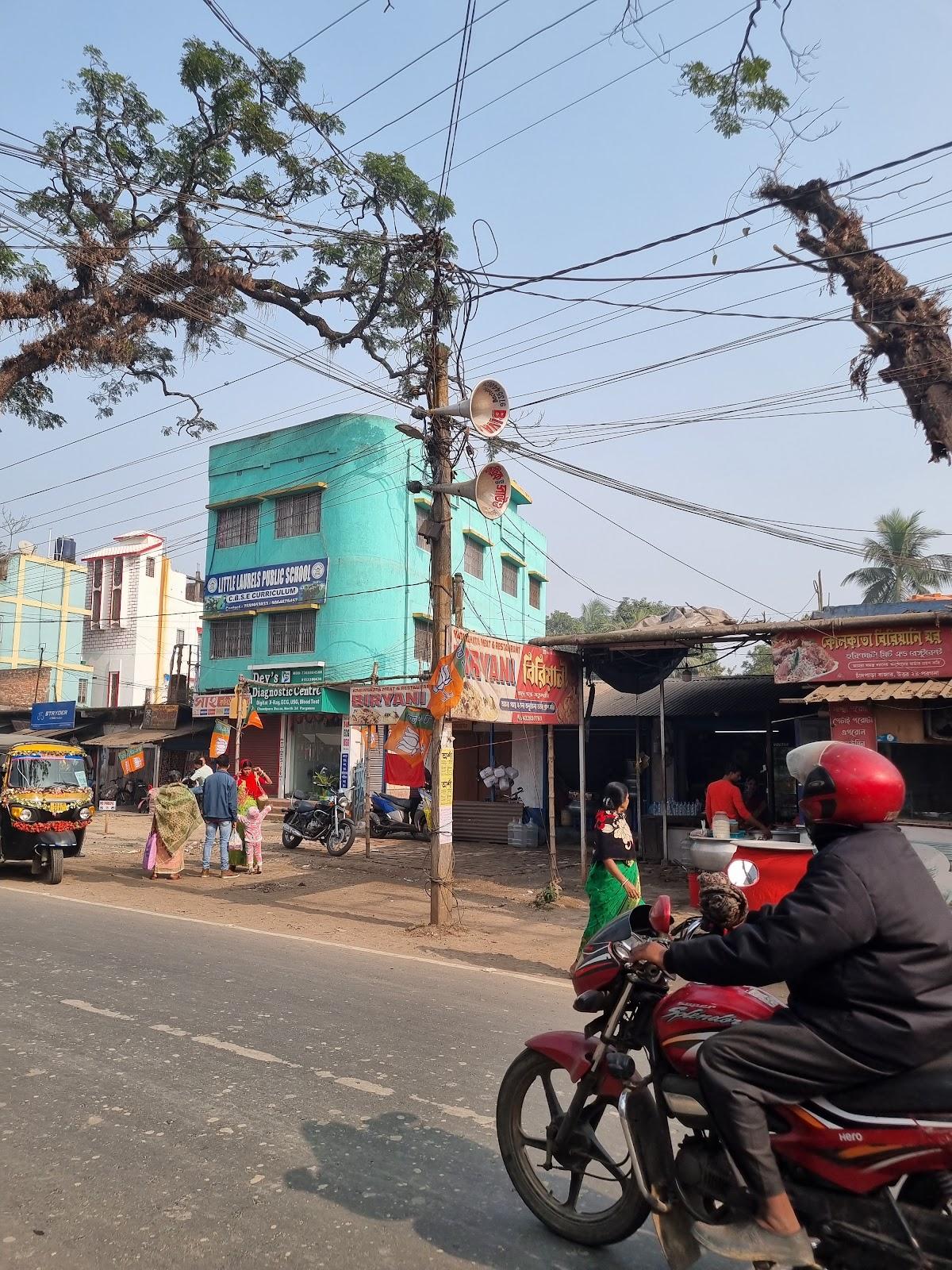 Kolkata Hazi Biryani