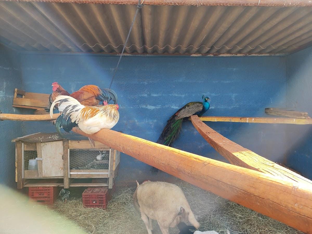 Restaurante Recanto Caipira