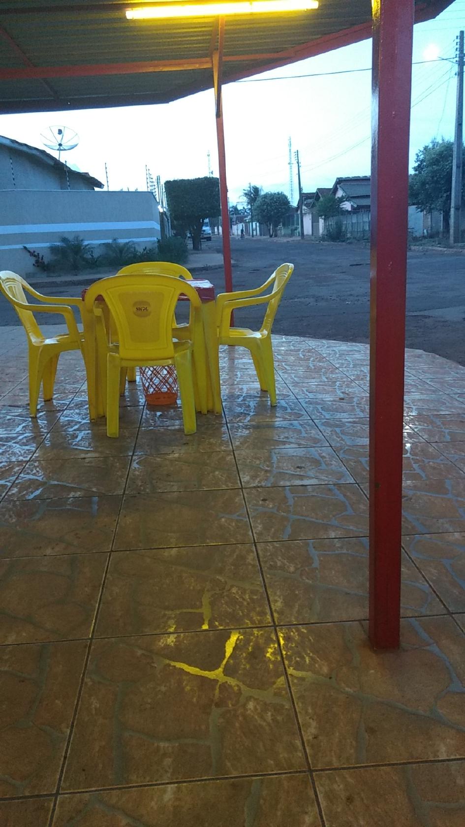 Pit-Dog do Seu Afonso