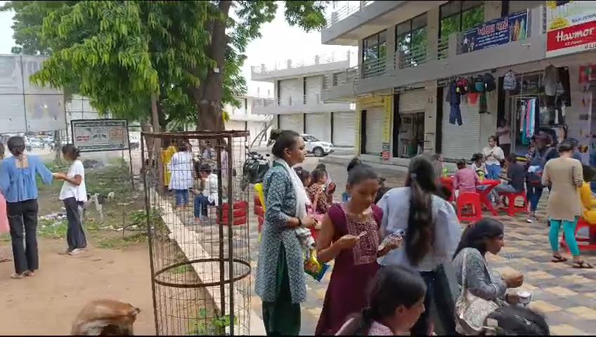 V line corne -Dharmaj chokdi