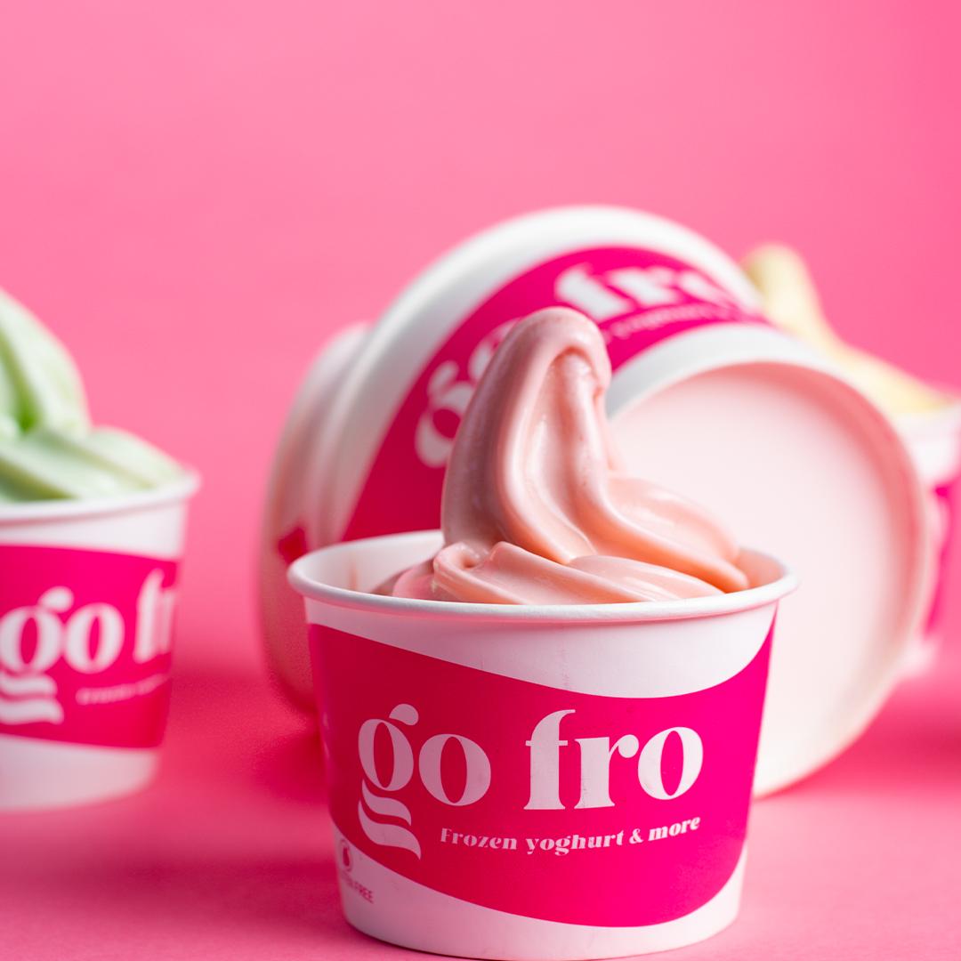 Go Fro Frozen Yoghurt & More