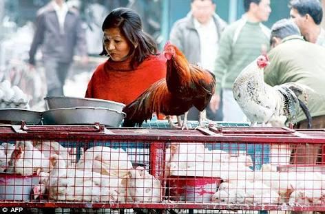 Mallick Chicken Centre