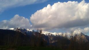 Ristorante Bar Industrie Mosj Di Bof Monja & C. Sas