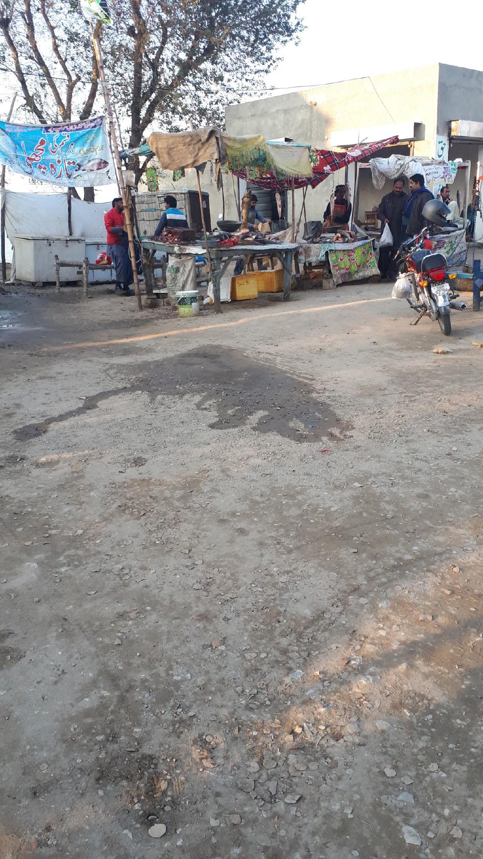 Shokat ali sindhi Fresh Fish of River Indus