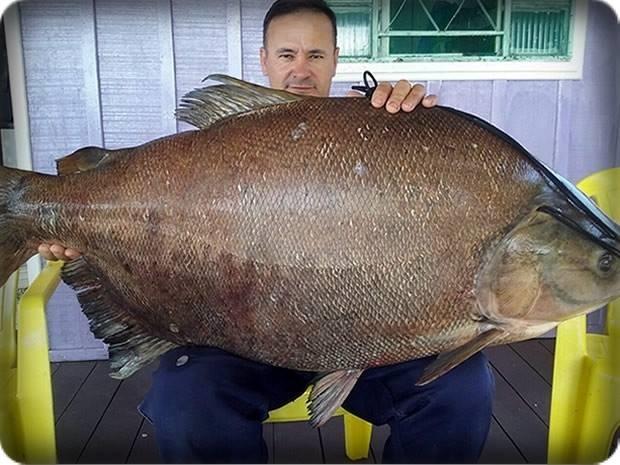 Lagoa do Vale - Pesqueiro, Restaurante e Churrascaria