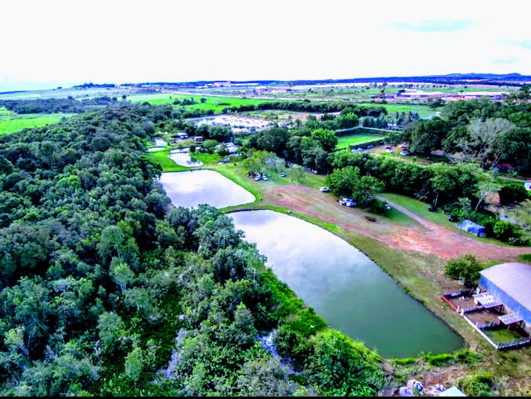 Pesque Pague da Marina