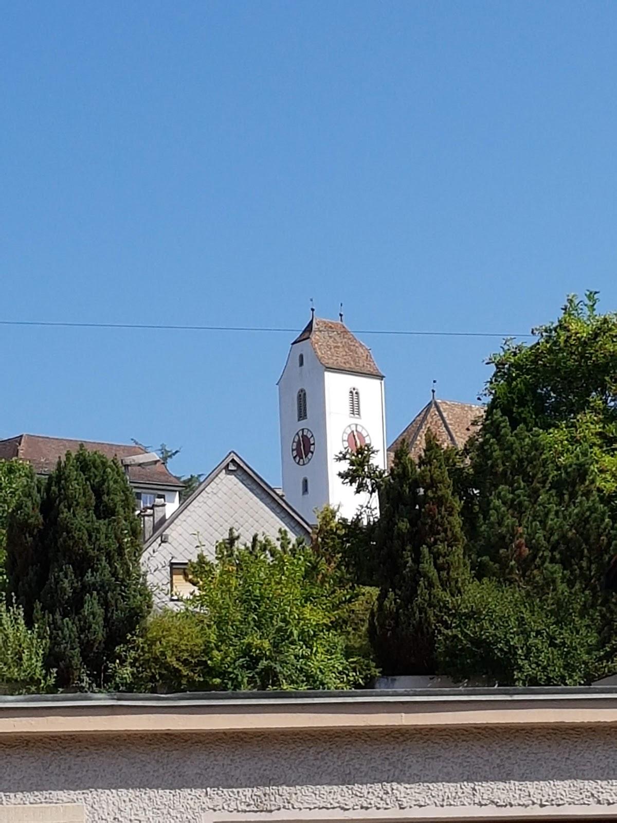 Traube