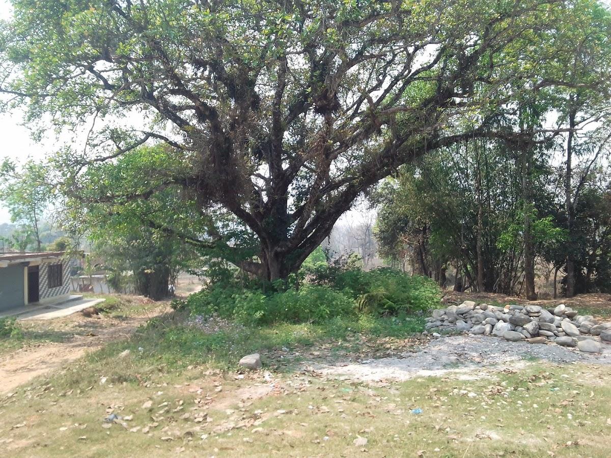 Subasna Khaja Ghar