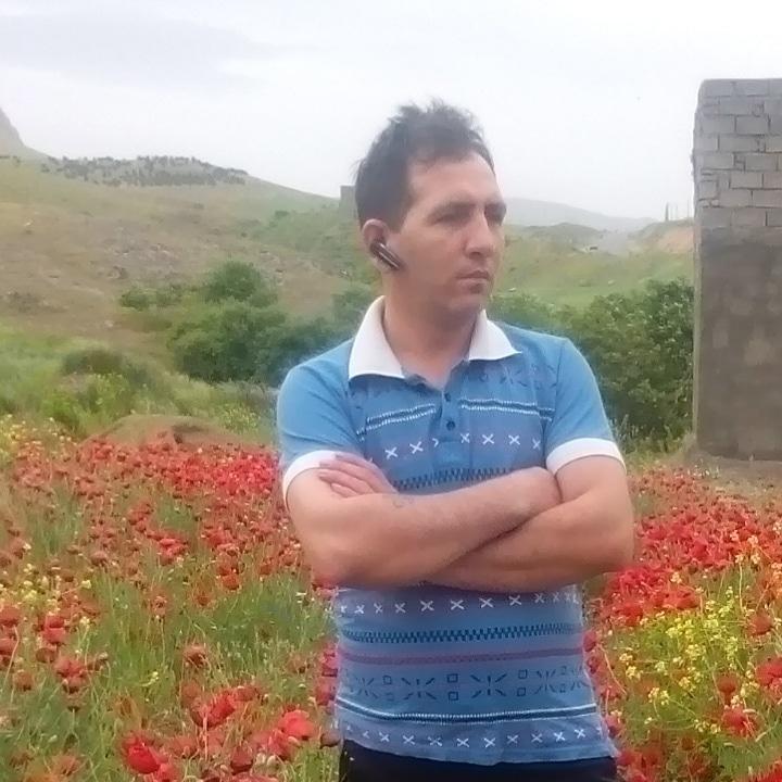 مرکزپخش مرغ عمده محمدی