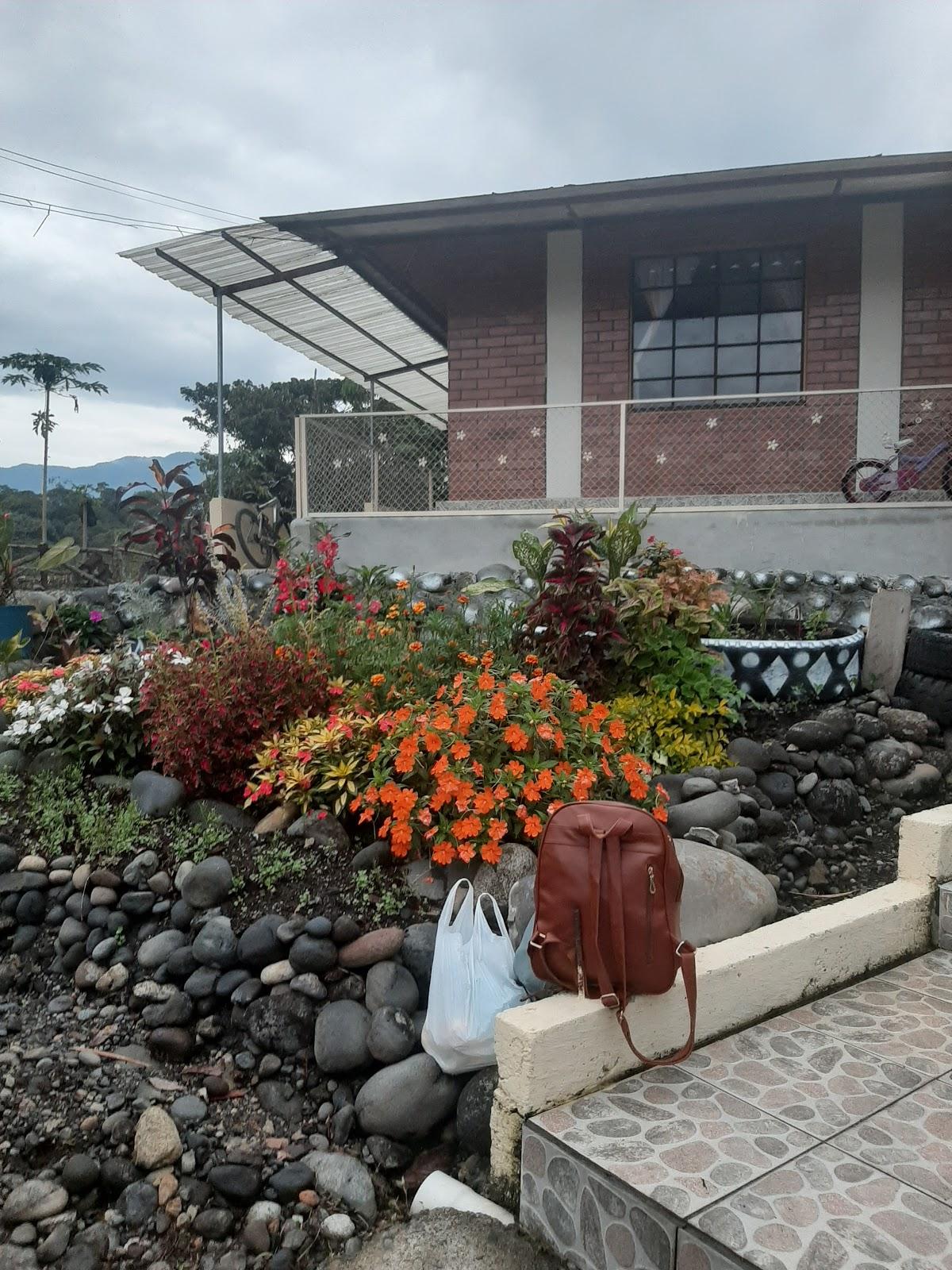 Brisa Amazonica