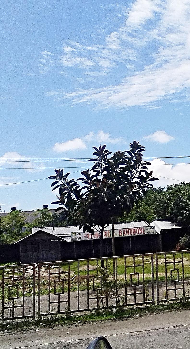 Randhoni (ৰান্ধনী)