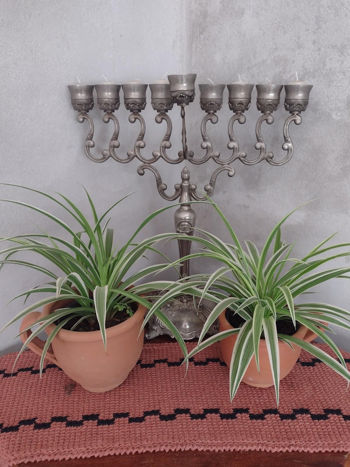 Pesqueiro da Divisa-Camping-Restaurante