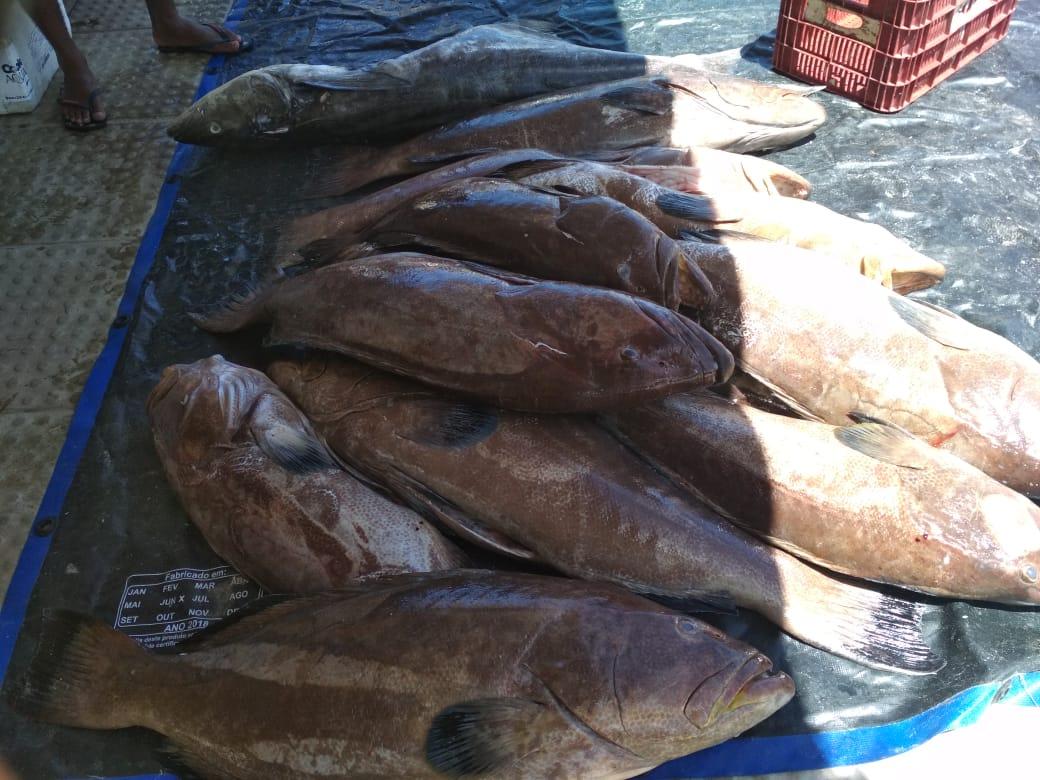 Restaurante O Pescador