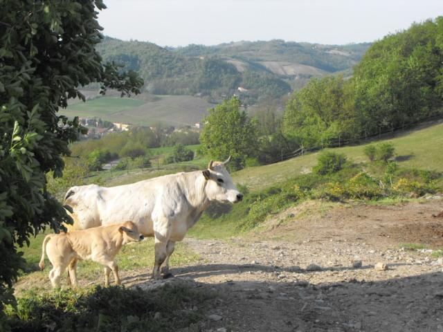 Agriturismo La Capanna