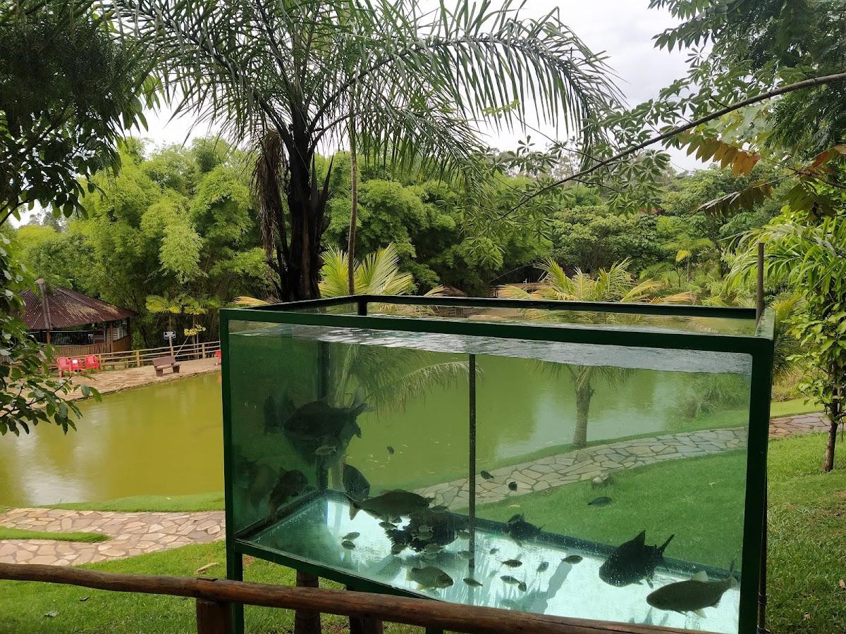 Pesque e Pague Rancho Palhoça