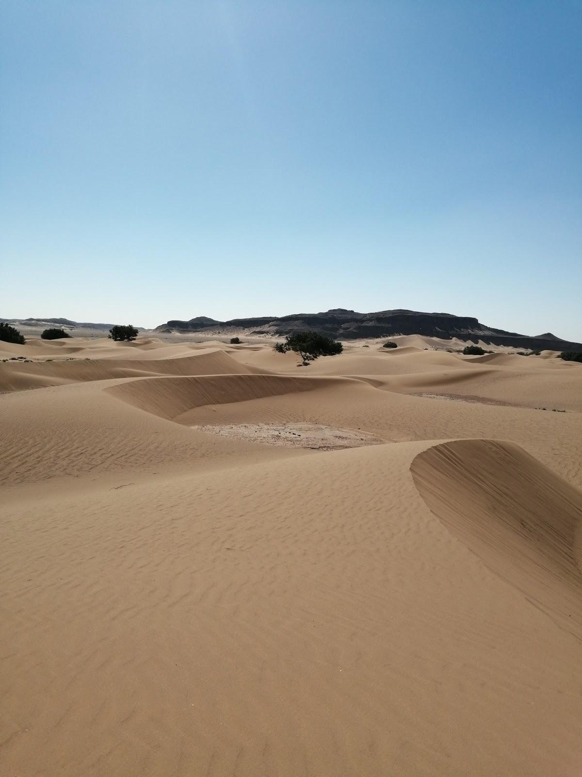 Bivouac Sky and Stars