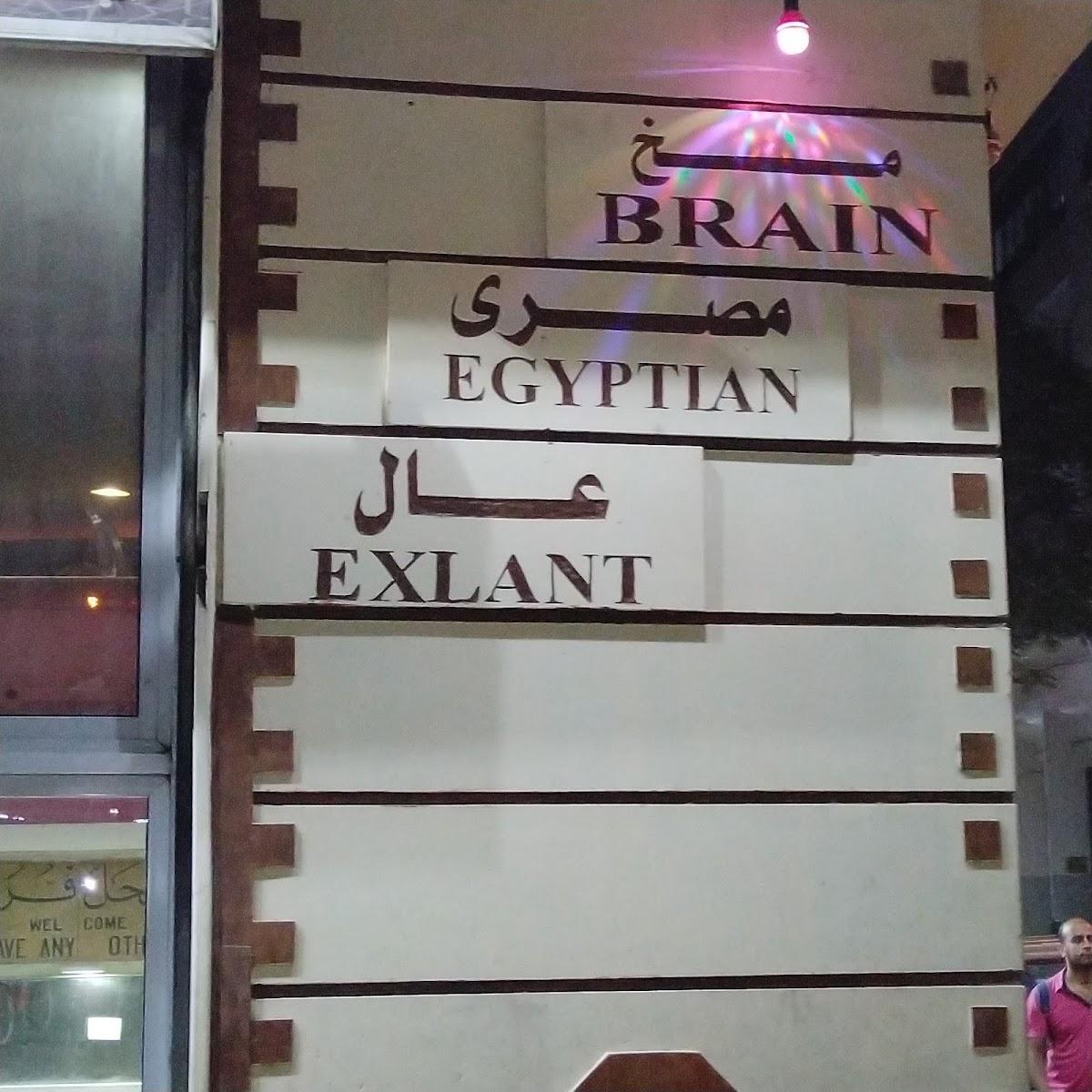 مخ المصري