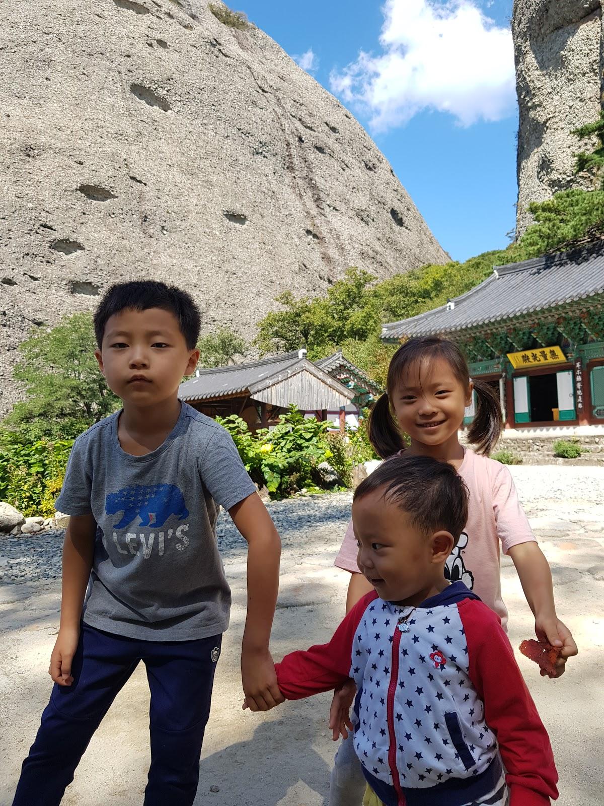 Wonsanghoe