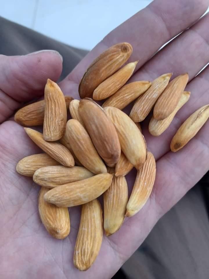 Ramsita Hotel and Restaurant