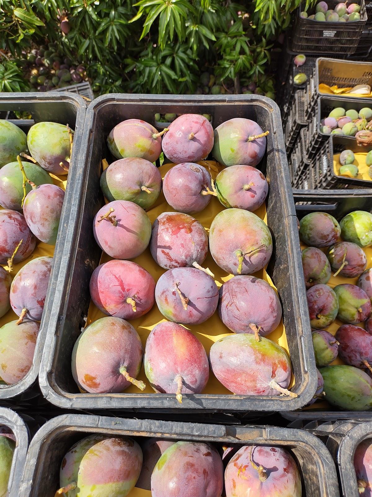 Bar E Restaurante Do Chiquinho