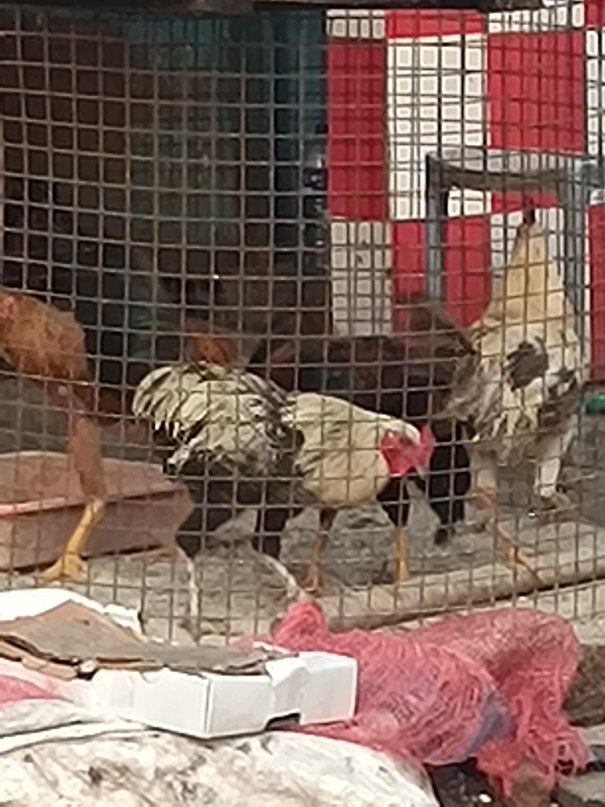 ஹோட்டல் கறி விருந்து