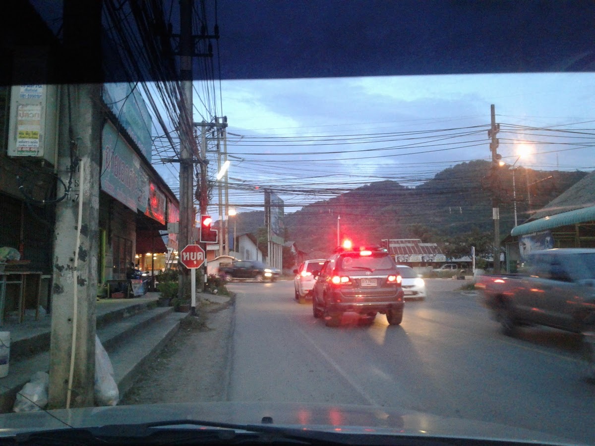 ชาพะยอมเกาะหมี
