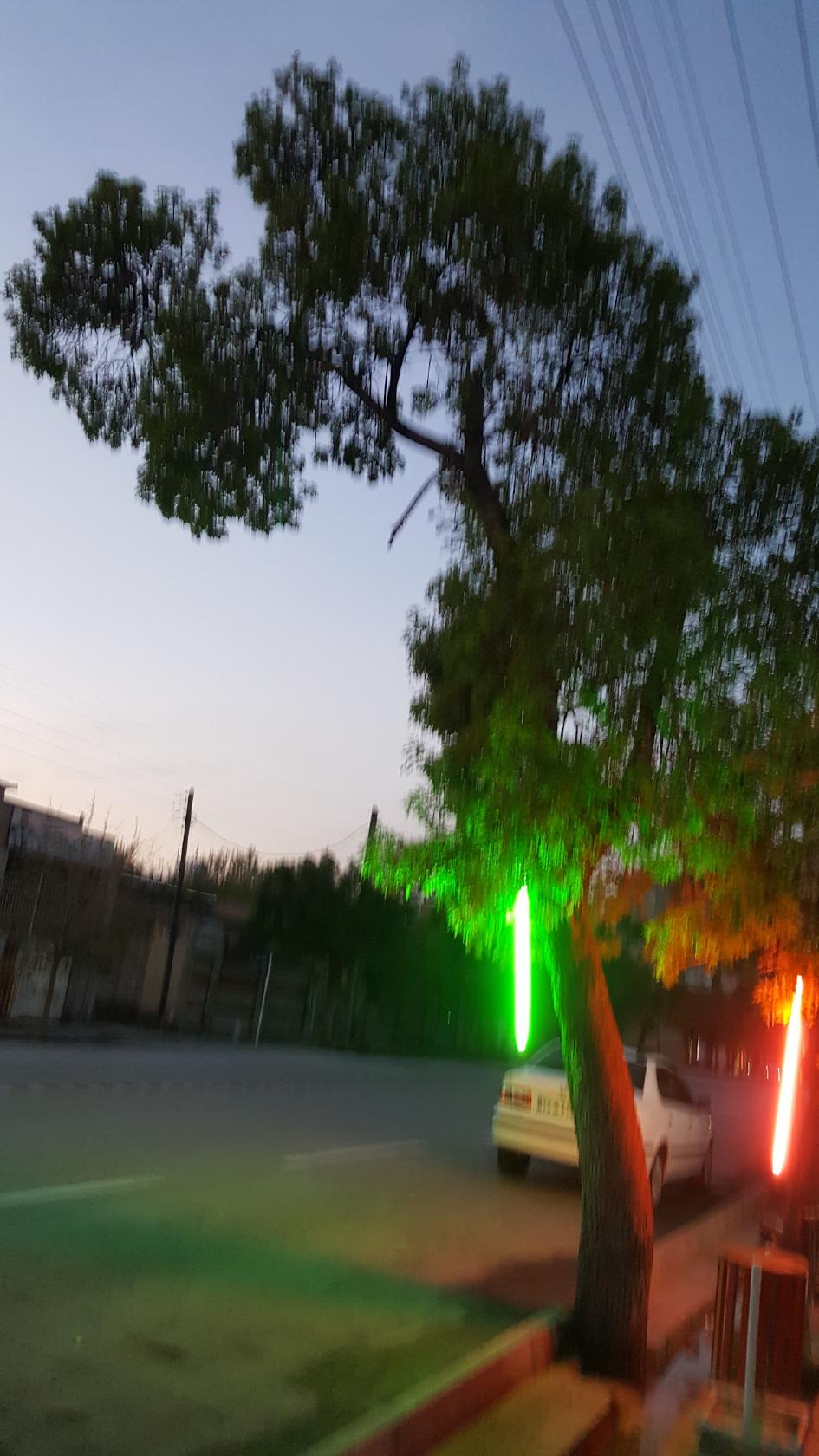 Ghouch Talaei Restaurant