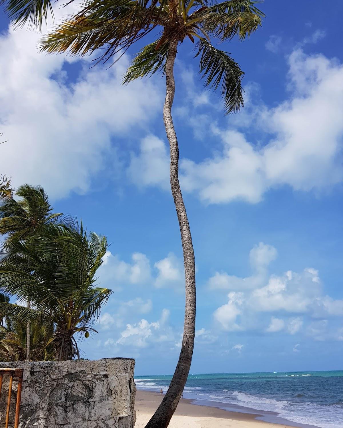 RESTAURANTE TABAGRILL MIRANTE