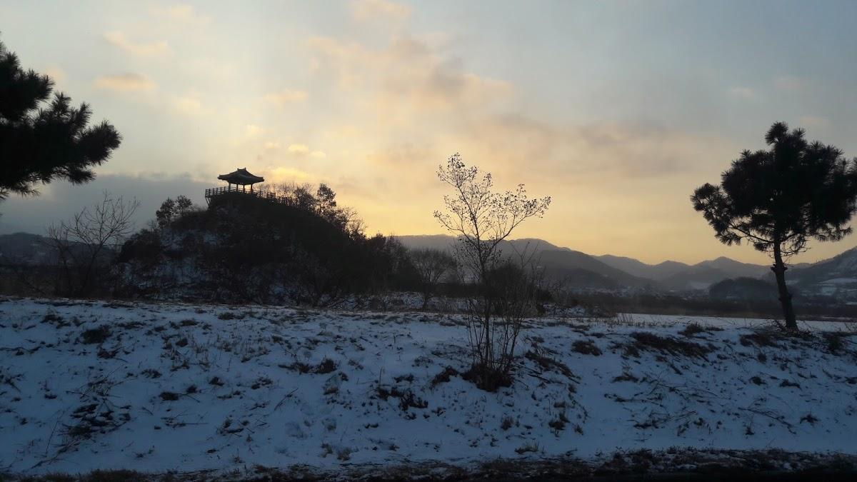 궁전횟집