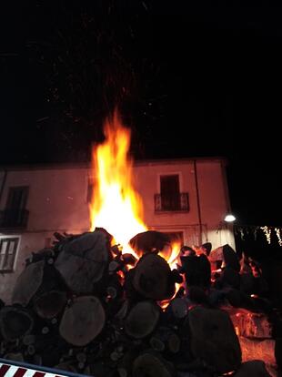 Bollettino Antonietta