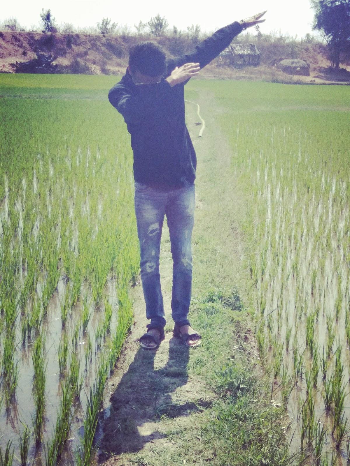 Suryareddy Family Dhaba